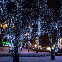 Уличные светодиодные гирлянды на деревья клип-лайт
