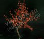 Световой вишневый куст, красный, высота 0,8м, диаметр 0,8м