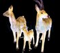 Объемные фигуры из стекловолокна "Семья антилоп"
