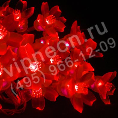 Светодиодная гирлянда "Цветки сакуры", 10м, красная